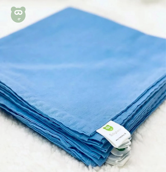 Nappy 20X20 (6Pc) Full Blue Babybear