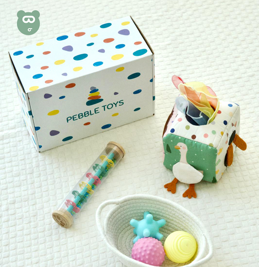Pebble Toys -  Little Explorers 8 - 14m