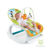 Safari Newborn to Toddler Portable Bouncer & Rocker with Vibration & Music