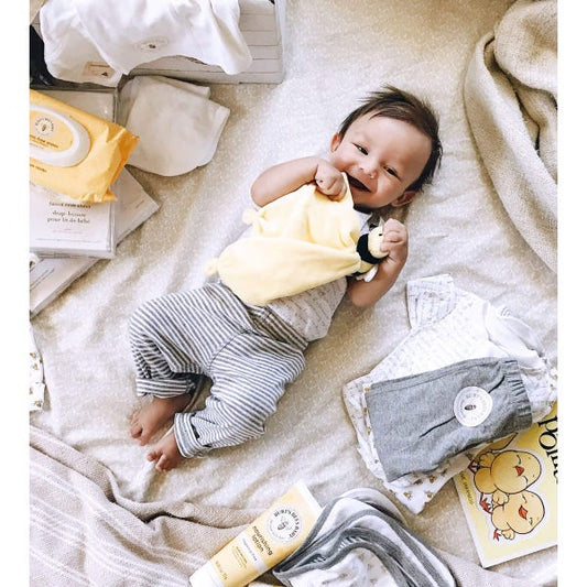 Burt's Bees Baby Sunggler Bee Comfort toy 0+