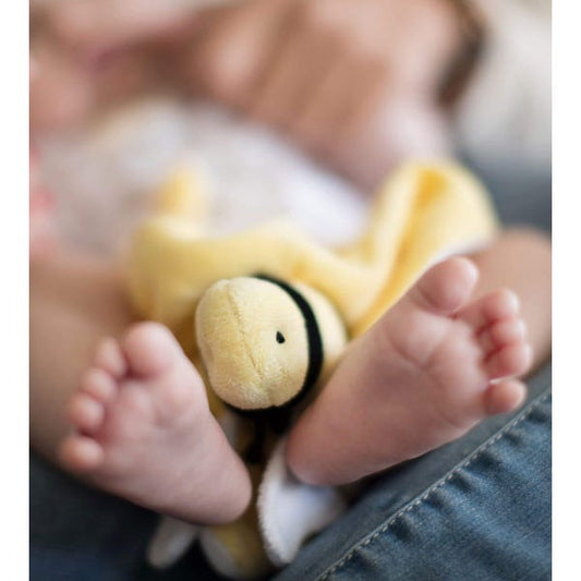 Burt's Bees Baby Sunggler Bee Comfort toy 0+